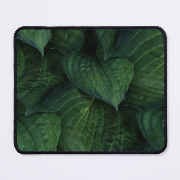 Item preview, Leaves of Green (pattern) designed and sold by Yampimon.