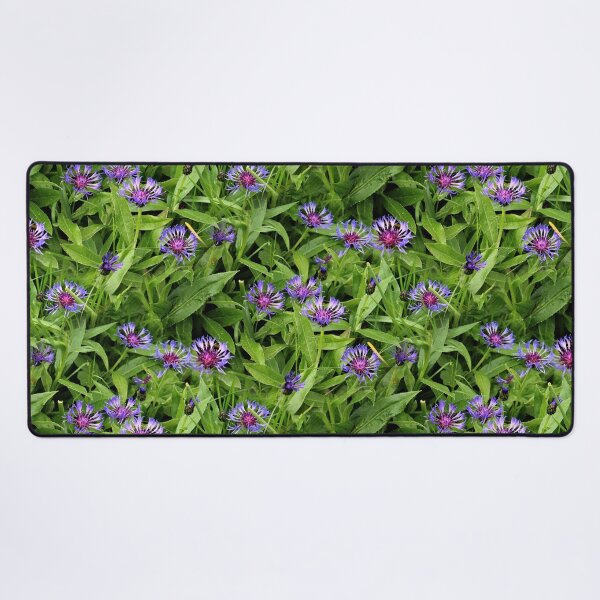 Item preview, Eternal Cornflowers (pattern) designed and sold by Yampimon.