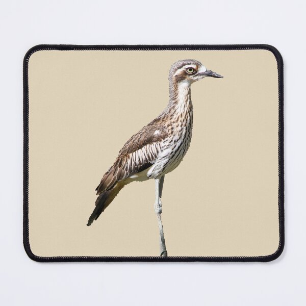 Item preview, Curlew designed and sold by indiafrankk.