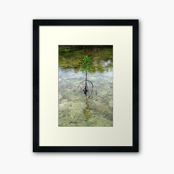 Item preview, Apparel, home, tech and travel design designed and sold by likbatonboot.