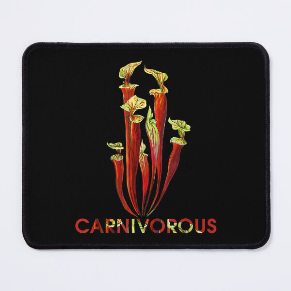 Item preview, Sarracenia Carnivorous Plants Botanical designed and sold by sofarway.
