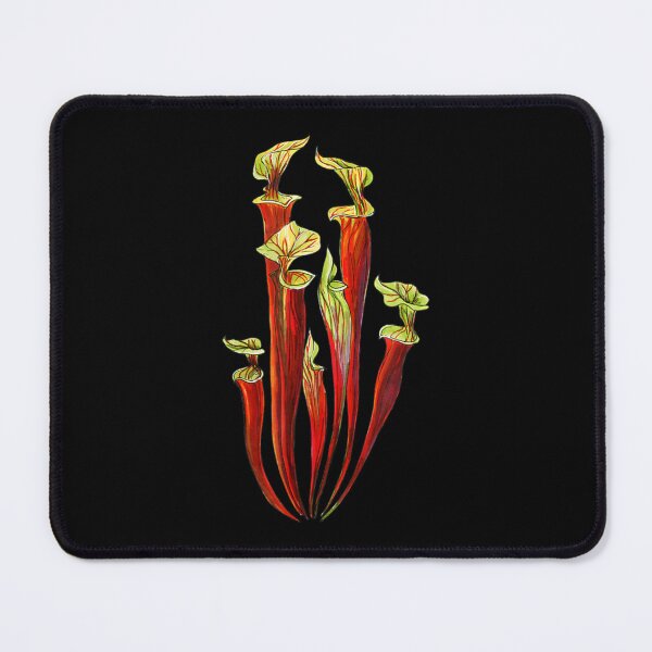 Item preview, Sarracenia Carnivorous Plants designed and sold by sofarway.