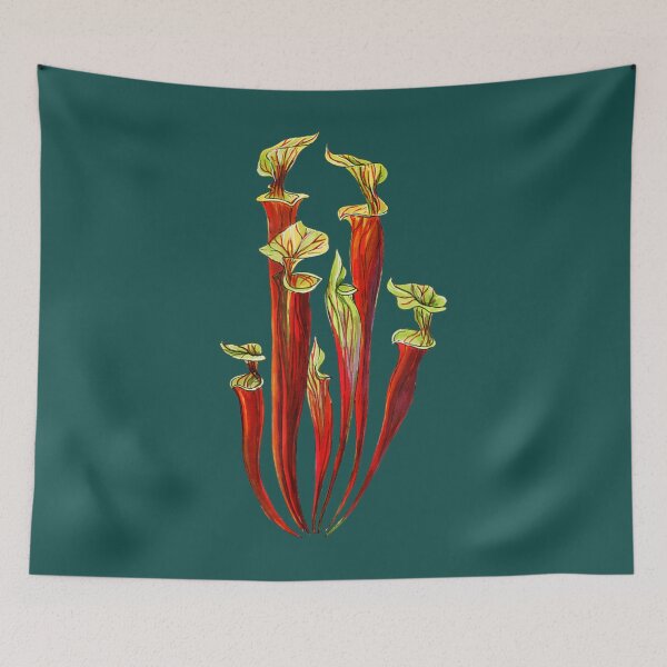 Item preview, Sarracenia Carnivorous Plants designed and sold by sofarway.