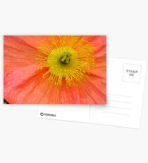 Hearts Of Flowers #20 Postcards