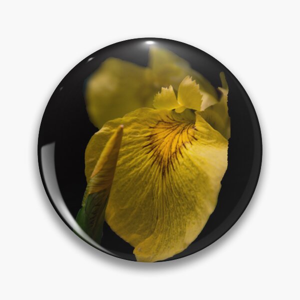 Item preview, Iris designed and sold by indiafrankk.
