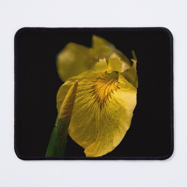 Item preview, Iris designed and sold by indiafrankk.