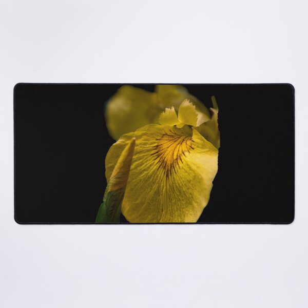 Item preview, Iris designed and sold by indiafrankk.