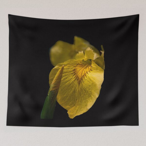 Item preview, Iris designed and sold by indiafrankk.