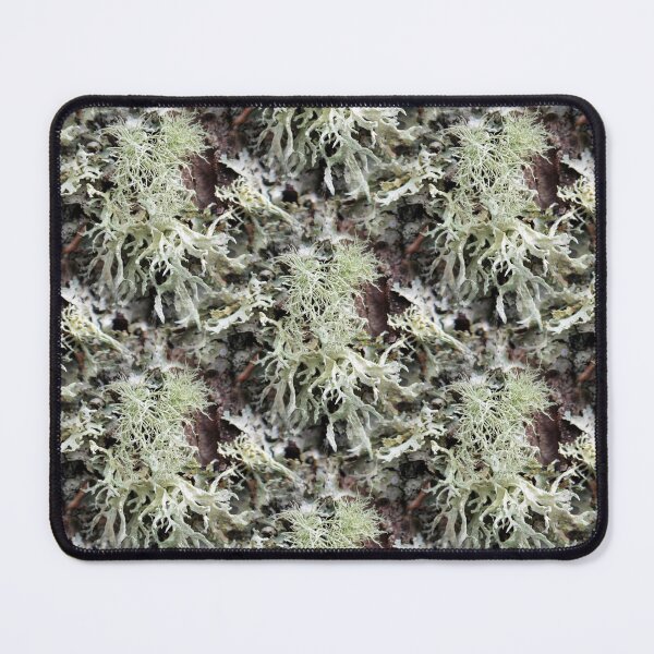 Item preview, Evernia Prunastri and Friends (pattern) designed and sold by Yampimon.