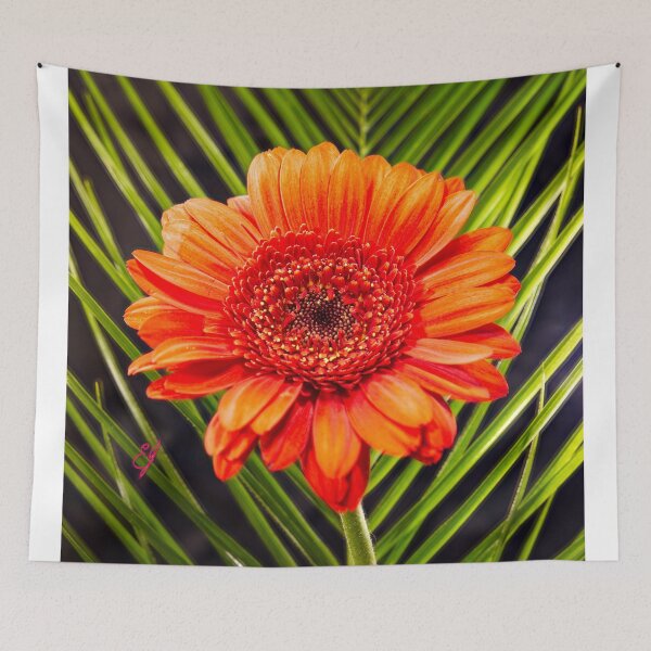 Item preview, single Gebera orange flower john skelton designed and sold by EdwinJohn.