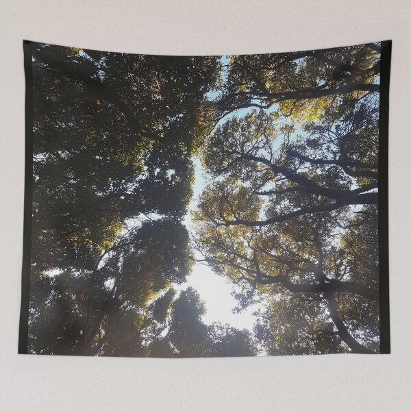 Aperçu de l'œuvre Ciel bleu à travers les arbres créée et vendue par CreateShape.