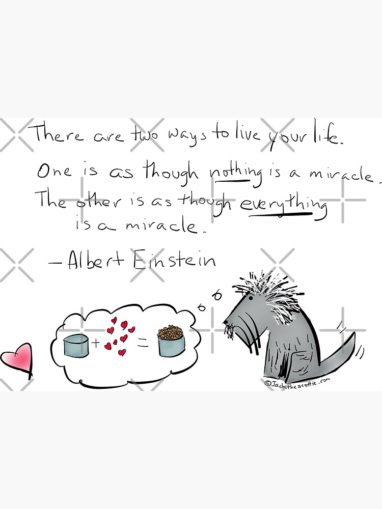 Jack - Everything Is a Miracle by betharichardson