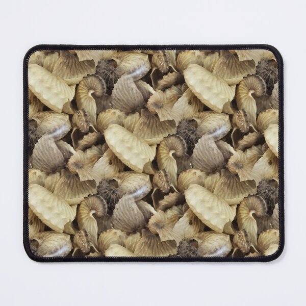 Item preview, Fossilshellorama (pattern) designed and sold by Yampimon.