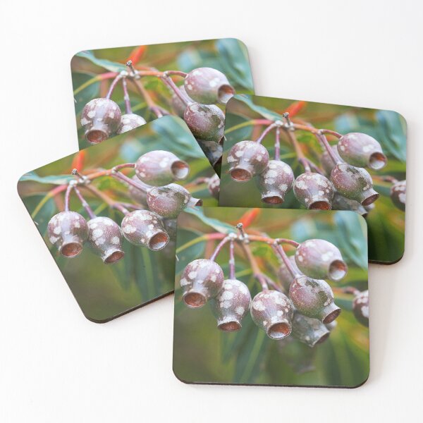 Item preview, Last Summers Gumnuts designed and sold by Joy Watson - Natural Light Photography .
