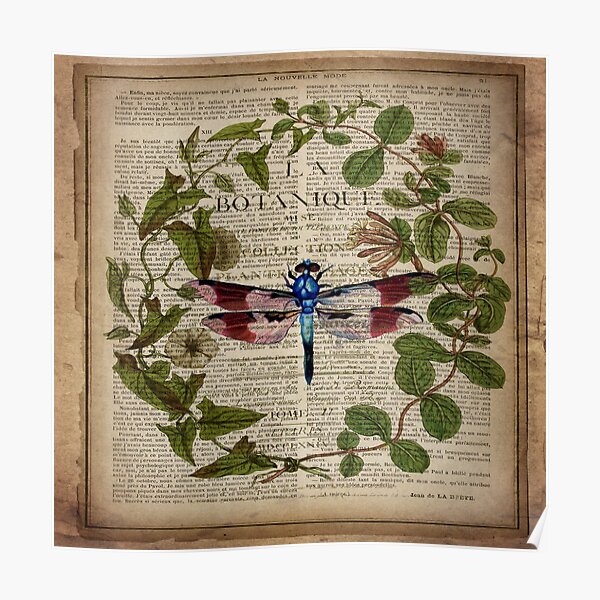 modern leaves botanical art vintage french dragonfly Poster