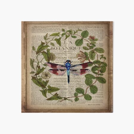 modern leaves botanical art vintage french dragonfly Art Board Print