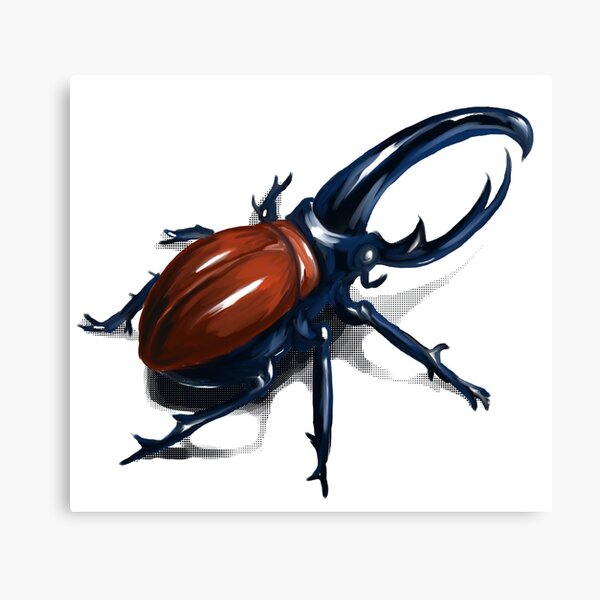 d&d fire beetle