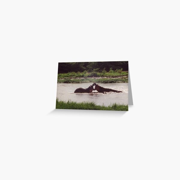 Quarrel Greeting Card