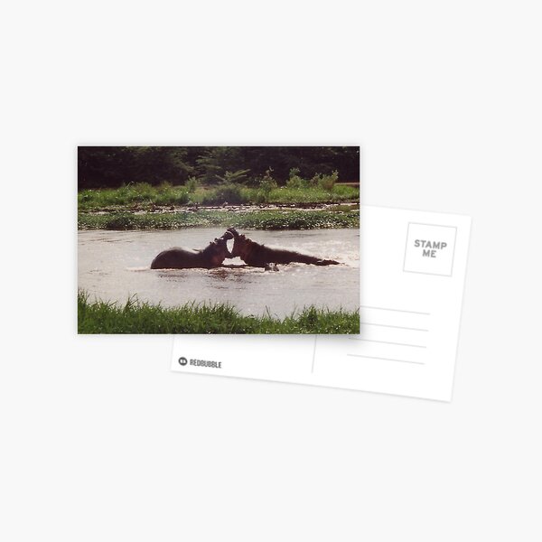 Quarrel Postcard