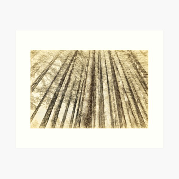 Item preview, Sugarpine Walk Etchings - Laurel Hill NSW designed and sold by Salieri1627.