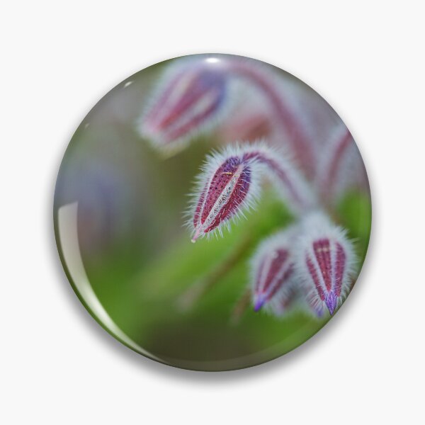 Item preview, Borage Plant Has Antennas  designed and sold by Joy Watson - Natural Light Photography .