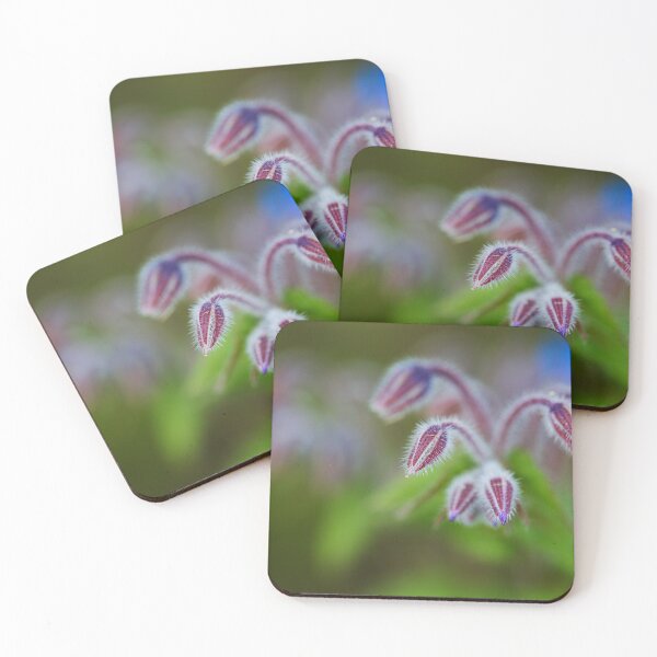 Item preview, Borage Plant Has Antennas  designed and sold by Joy Watson - Natural Light Photography .