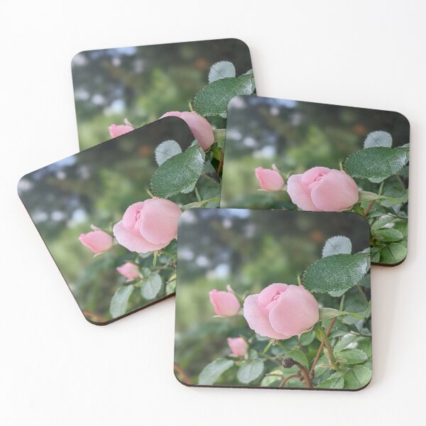 Item preview, Garden pink rose in bloom designed and sold by HelgaScand.