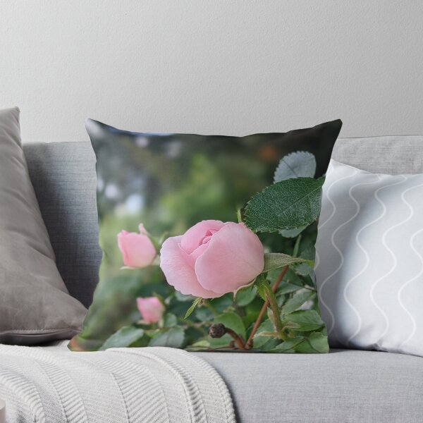 Item preview, Garden pink rose in bloom designed and sold by HelgaScand.