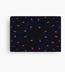 little secrets Canvas Print