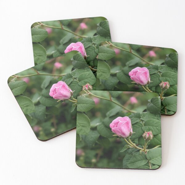 Item preview, Garden pink rose bud. designed and sold by HelgaScand.