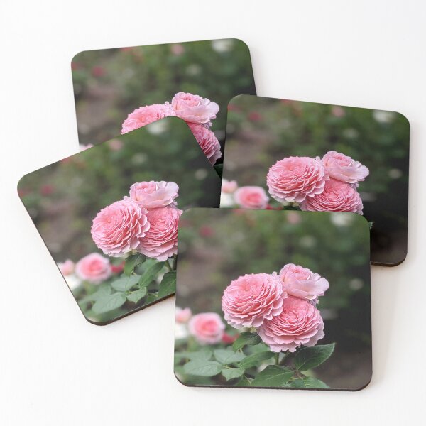 Item preview, A delicate pink rose blooms in the summer garden. designed and sold by HelgaScand.