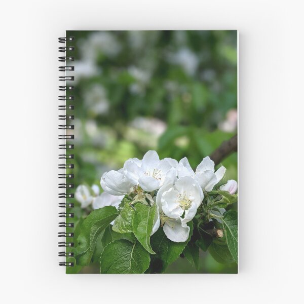 Item preview, A tender apple tree blooms in a summer garden. designed and sold by HelgaScand.