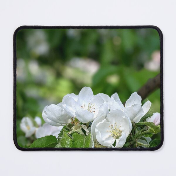 Item preview, A tender apple tree blooms in a summer garden. designed and sold by HelgaScand.