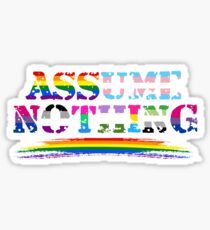 Assume Nothing - Queer Pride Sticker