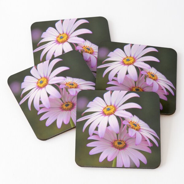 Item preview, Osteospermum designed and sold by JEZ22.