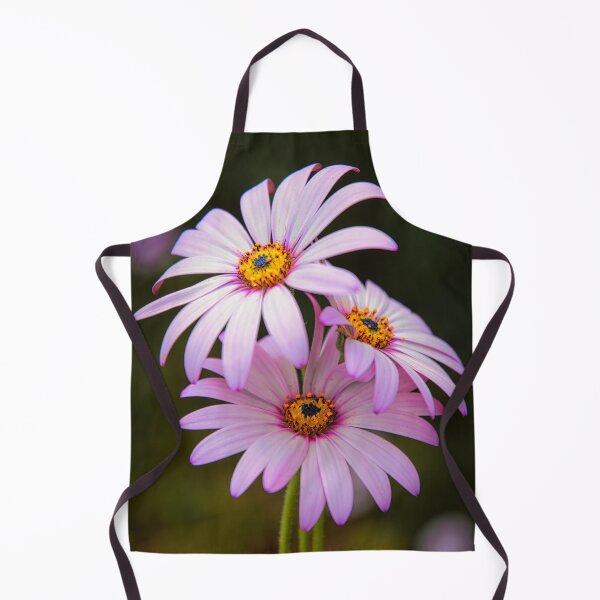 Item preview, Osteospermum designed and sold by JEZ22.