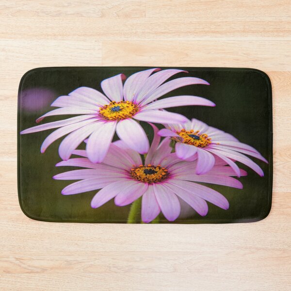 Item preview, Osteospermum designed and sold by JEZ22.