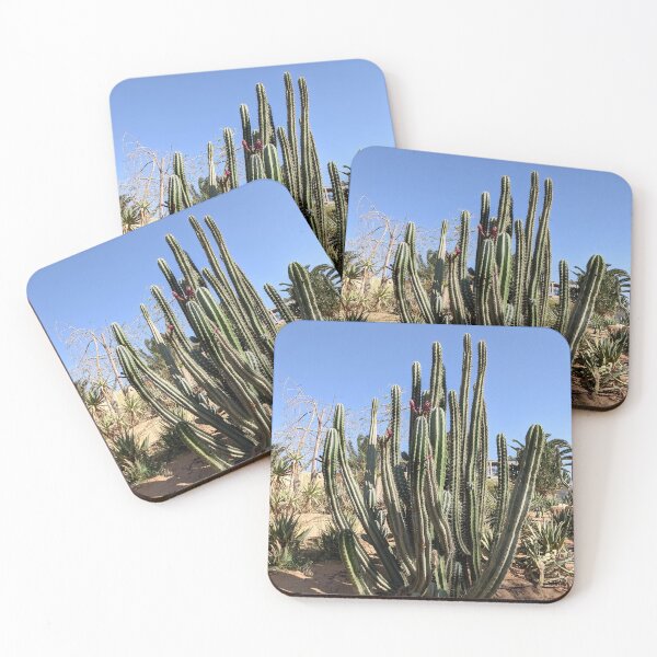 Item preview, Cactus en el jardín de cactus en un caluroso día de verano designed and sold by HelgaScand.