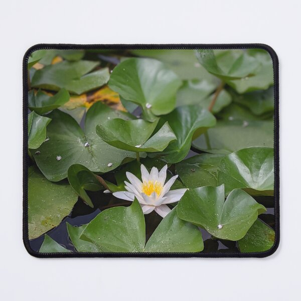 Item preview, Water lily on the pond. designed and sold by HelgaScand.