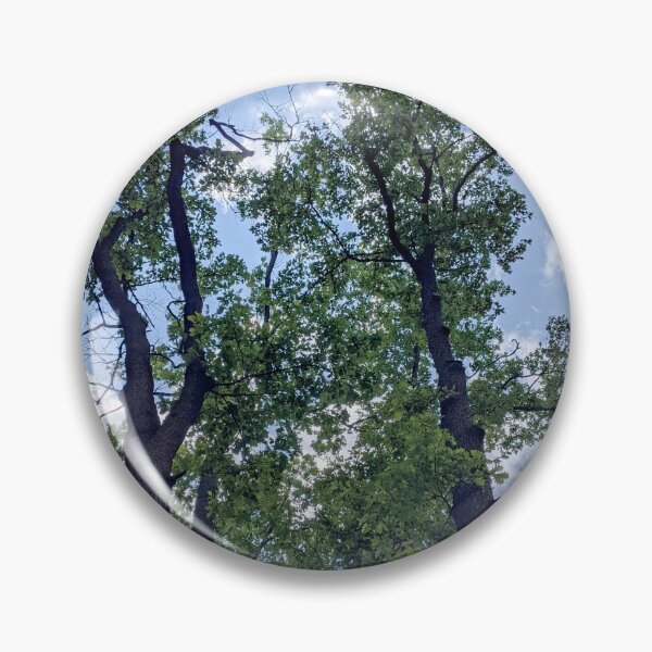 Item preview, Tall oaks against the sky. View up. designed and sold by HelgaScand.