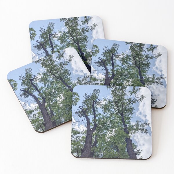 Item preview, Tall oaks against the sky. View up. designed and sold by HelgaScand.