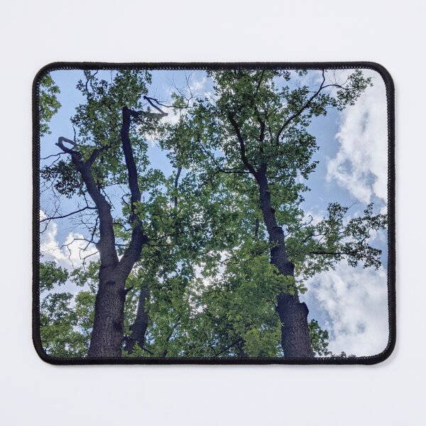 Item preview, Tall oaks against the sky. View up. designed and sold by HelgaScand.