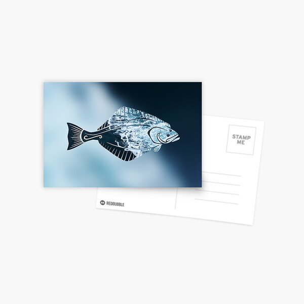 Alaskan Halibut Postcard