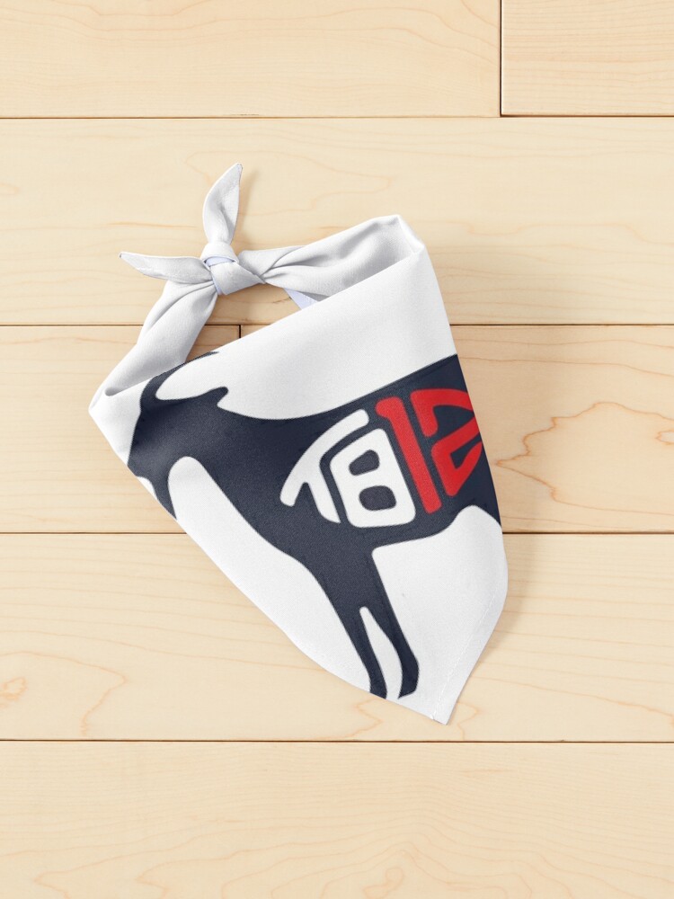 Go Bucs Pet Bandana Collar Tom Brady is the Man the Myth the 