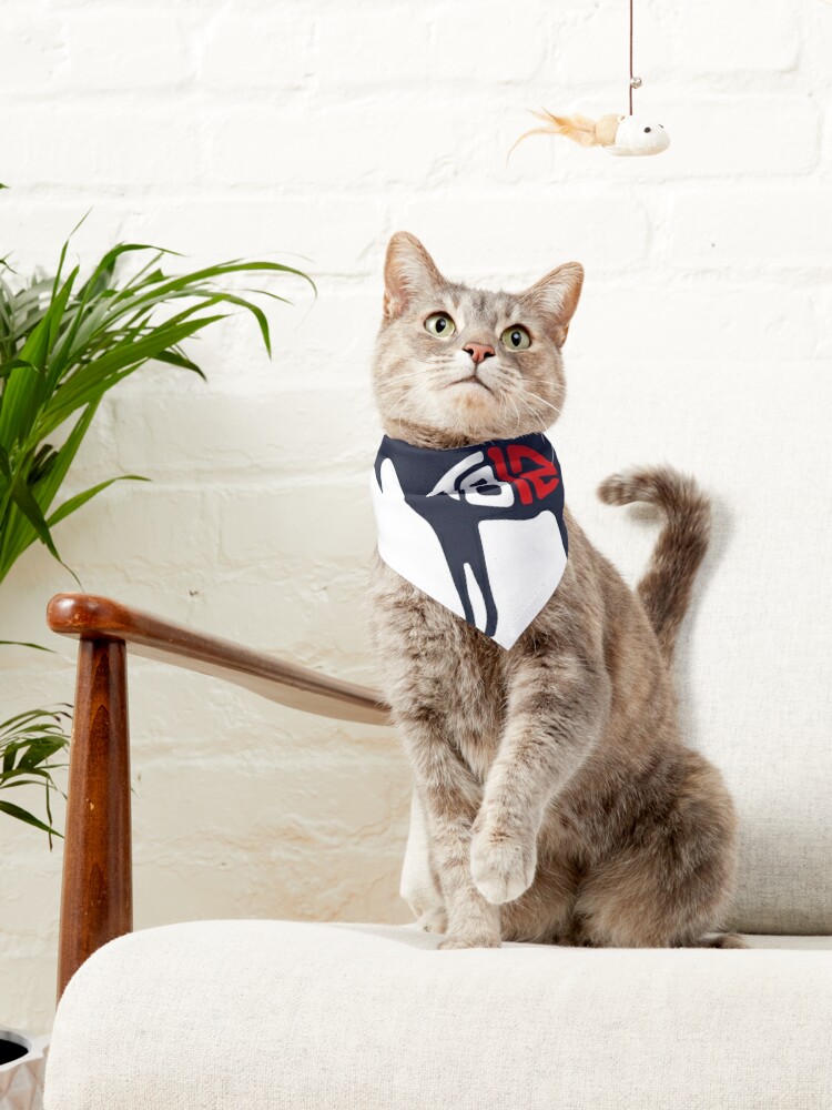 Go Bucs Pet Bandana Collar Tom Brady is the Man the Myth the 