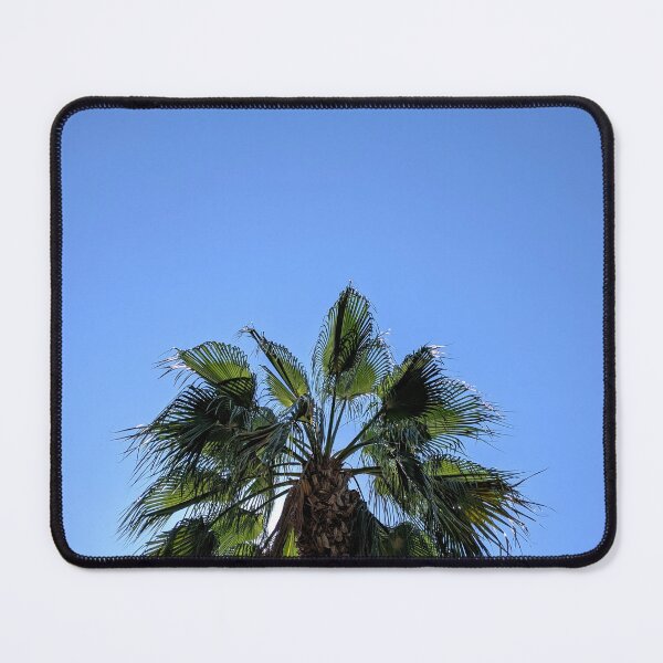 Item preview, Palm tree against a clear blue sky. designed and sold by HelgaScand.