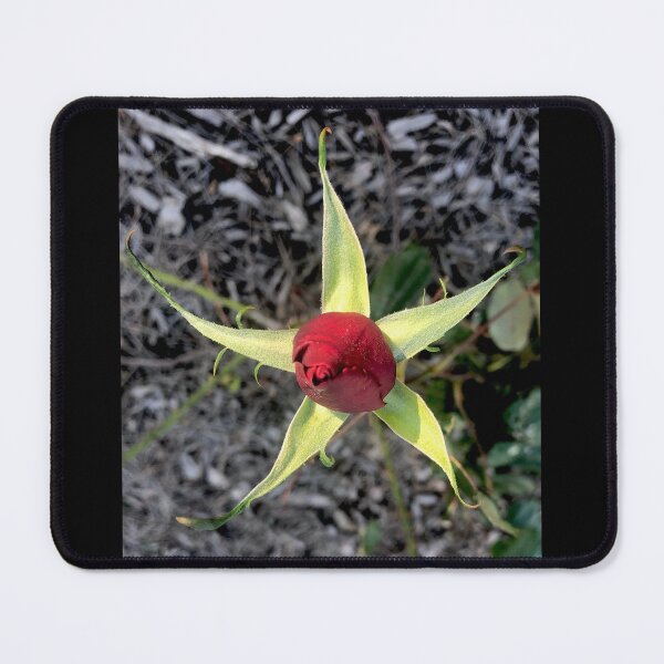Item preview, Starry Rose designed and sold by KazM.