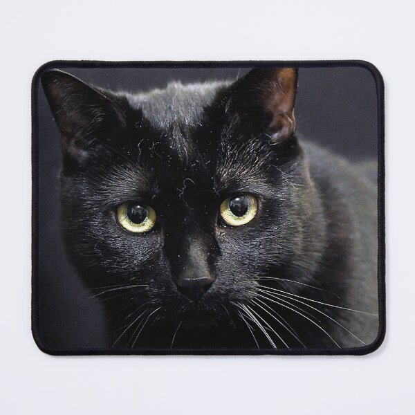 Item preview, Black cat designed and sold by Denis Charmot.