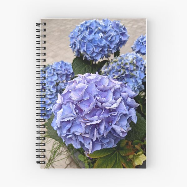Item preview, Blue hydrangeas in a flower bed designed and sold by HelgaScand.