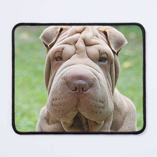 Item preview, Shar-Pei designed and sold by Denis Charmot.